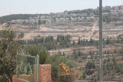 Monitoring Report on the Israeli Settlement Activities in the occupied State of Palestine – April 2019