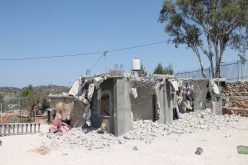 Monitoring Report on the Israeli Settlement Activities in the occupied State of Palestine – June 2019