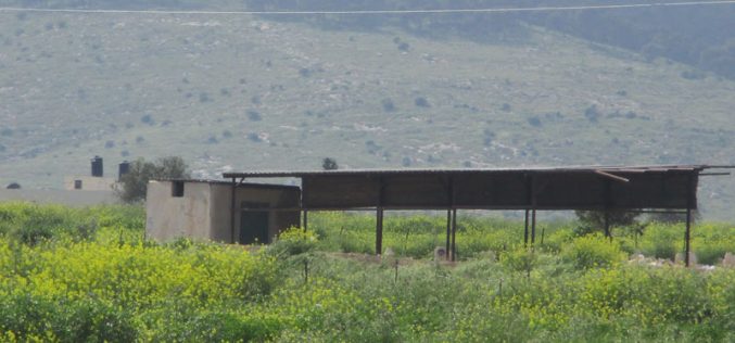 الاحتلال يخطر منشآت زراعية وآبار في قرية العقبة / محافظة طوباس