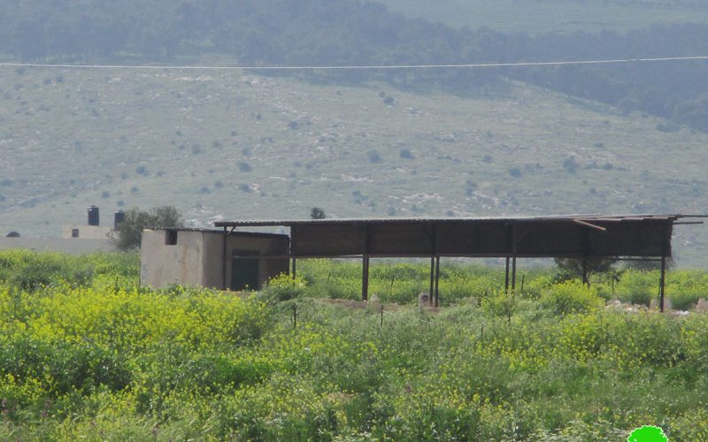 The Israeli Occupation Targets Agricultural Facilities in Al-Aqaba/ Tubas Governorate