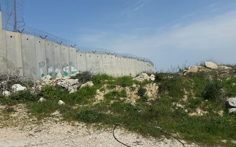 Monitoring Report on the Israeli Settlement Activities in the occupied State of Palestine – February 2019