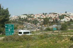 Monitoring Report on the Israeli Settlement Activities in the occupied State of Palestine – January 2019
