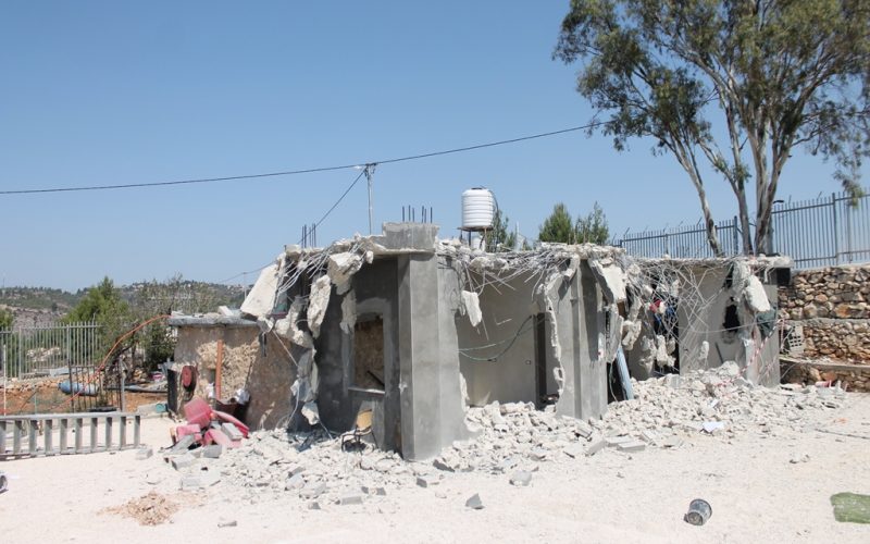 Monitoring Report on the Israeli Settlement Activities in the occupied State of Palestine – June 2019