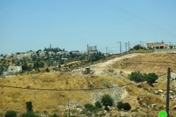 IOF Confiscate Irrigation Networks in A-Buqa’a/ East Hebron