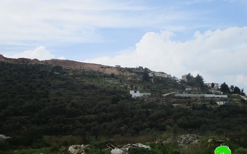 Establishing a New Colonial Block in “Ma’ale Israel” on Salfit Lands