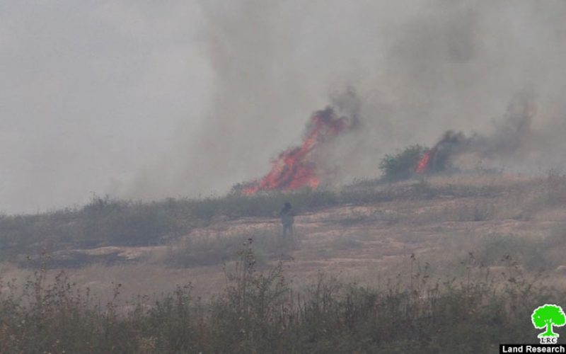 إحراق 23 دونماً من الأراضي الرعوية بسبب التدريبات العسكرية في واد المالح / محافظة طوباس