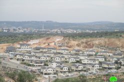 Expansions in Elkana Settlement