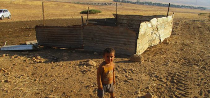 IOF Demolish and Confiscate Residential and Agricultural Tents in Khirbet Al-Hadidiya/ Tubas