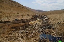 IOF Demolish a Residence and Agricultural Facilities in Khirbet Al-Faw/ Tubas Governorate