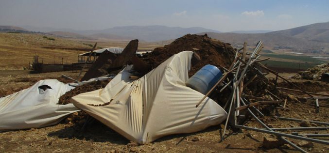 IOF Demolish Number of Structures in Khirbet Ras Al-Ahmar/ Tubas Governorate
