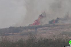 إحراق 23 دونماً من الأراضي الرعوية بسبب التدريبات العسكرية في واد المالح / محافظة طوباس
