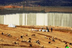 Israel Halts Work on Two Rooms and a Cistern in Al-Burj/ South Hebron