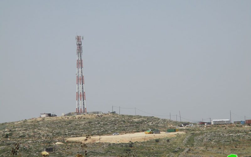 For colonial expansion, IOF ravage agricultural lands west Yasouf / Salfit governorate