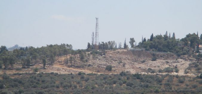 The Occupation authorities turn forests into a construction area for the favor of  “Ma’ale Shamron”