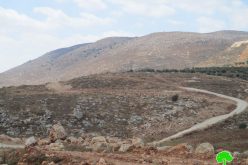 الاحتلال الإسرائيلي يوقف العمل بشق طريق زراعي في بلدة سنجل / محافظة رام الله