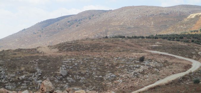 The Israeli occupation halts work on an agricultural road in Sinjil /Ramallah governorate