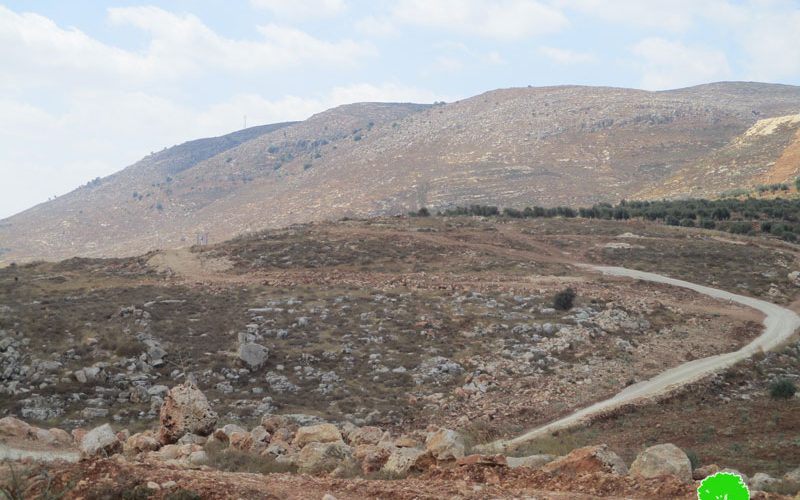 The Israeli occupation halts work on an agricultural road in Sinjil /Ramallah governorate