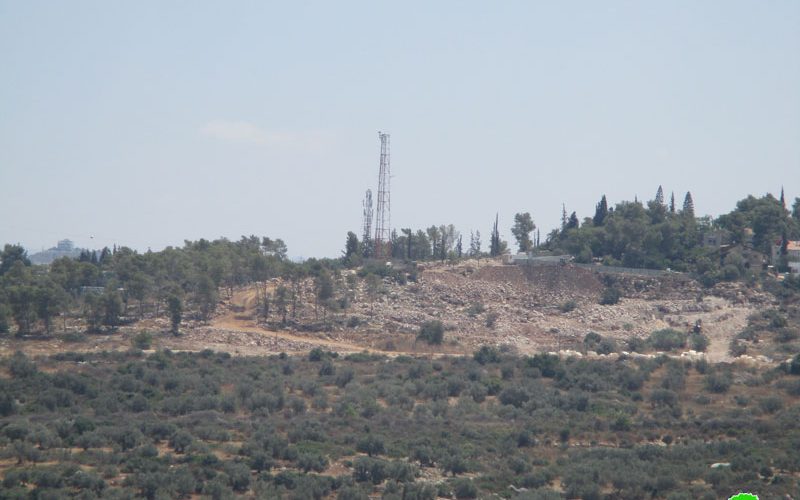 The Occupation authorities turn forests into a construction area for the favor of  “Ma’ale Shamron”