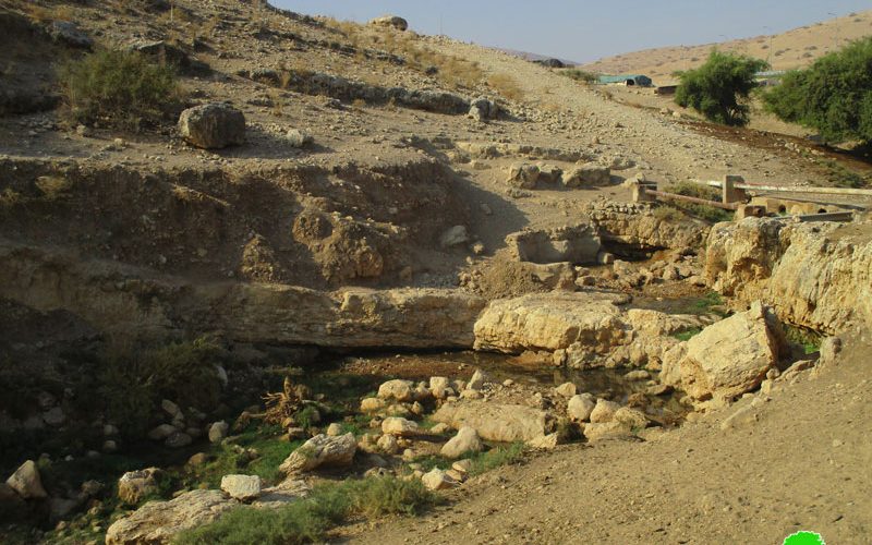 Settlers of “Maskiyot” lay their hands on Ein Al-Hilweh spring / Tubas governorate