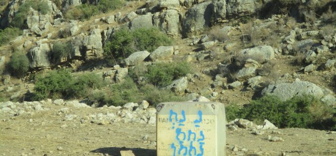 الاستيلاء على أراضي في منطقة وادي المالح وتحويلها لثكنة عسكرية / محافظة طوباس