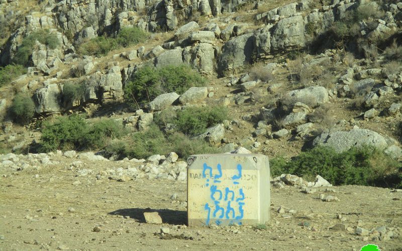 The Israeli occupation lay hands on lands in Wadi Al-Maleh / Tubas government