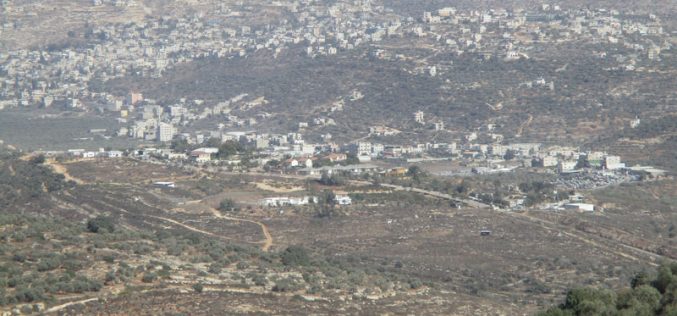 Israeli settlers steal the harvest of 35 olive trees in Yasouf / Salfit governorate
