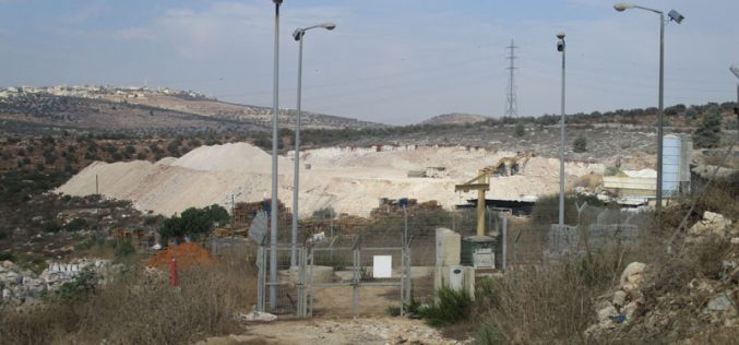 Ravaging Palestinian agricultural lands for the favor of “Karnei Shamron” settlement / Qalqilya governorate