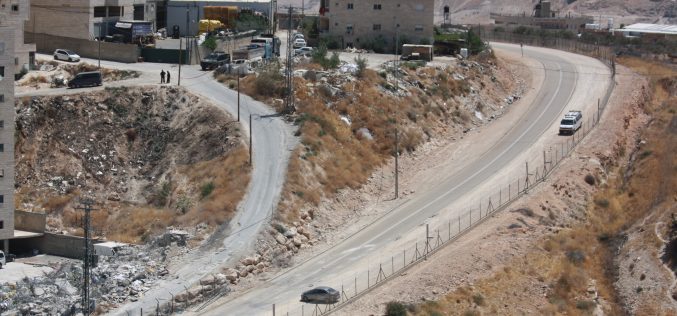 Monitoring Report on the Israeli Settlement Activities in the occupied State of Palestine – September 2019