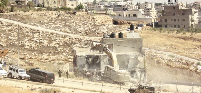Monitoring Report on the Israeli Settlement Activities in the occupied State of Palestine – July 2019