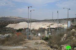 Ravaging Palestinian agricultural lands for the favor of “Karnei Shamron” settlement / Qalqilya governorate
