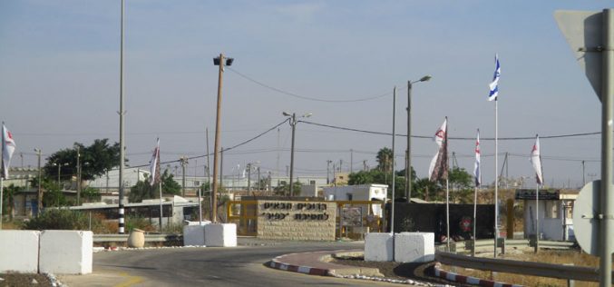 Expansion works in Sa’ora military camp in the Jordan Valley / Tubas