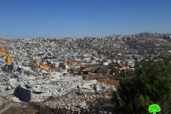 الاحتلال يهدم مسكنين لشقيقين في قرية شيوخ العروب شمال الخليل