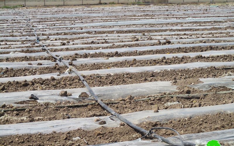 Destroying and confiscating water pipes in Ein Al-Bayda village / Tubas Governorate