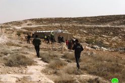 The Israeli occupation forces demolish structures in Masafer Yatta / Hebron governorate