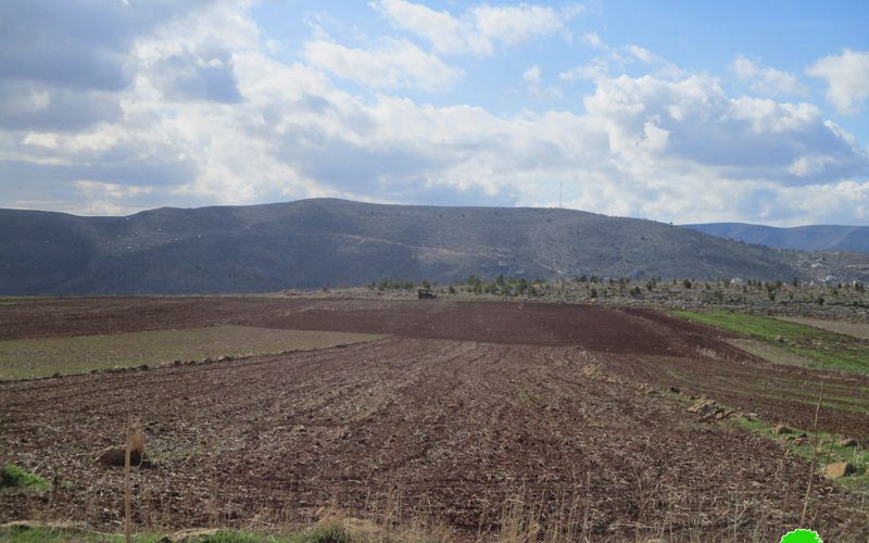 Confiscating 5 tractors in Umm Al-Qaba / Tubas governorate