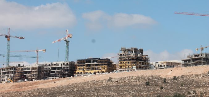 What is the impact of Israeli land policies and the settlement industry in the West Bank?
