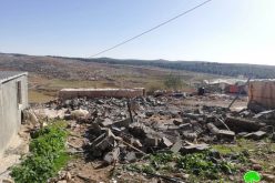 Demolishing an agricultural facility in Ghuwain south As-Samou’/ Hebron governorate
