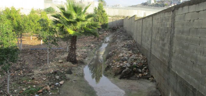 Settlers of “Sha’arei Tikva” pump their waste water towards ‘Azzun high school in Qalqilya
