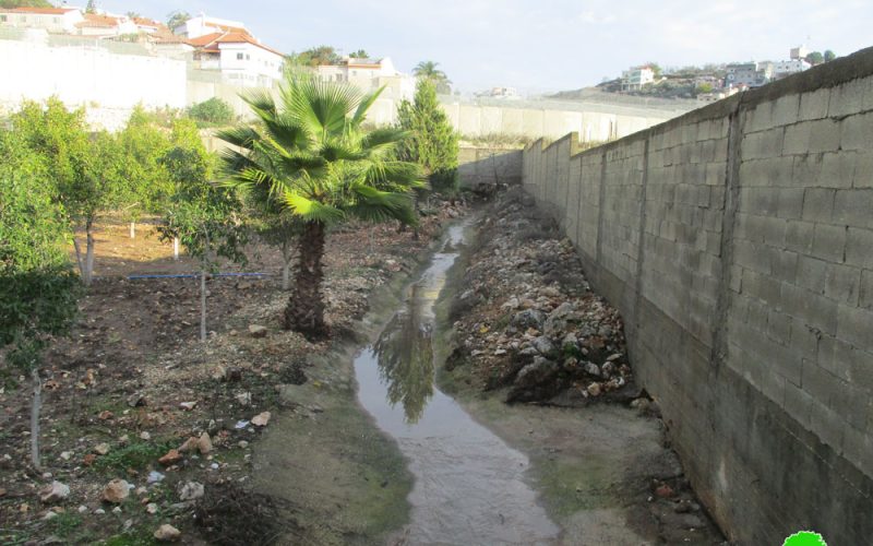 مستعمرة “شعاري بتكفا” يضخون مياههم العادمة باتجاه مدرسة  ثانوية في بلدة عزون / محافظة قلقيلية