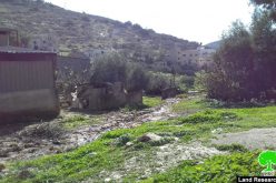 مستعمرة “ميراف” الإسرائيلية تضخ مياهها العادمة باتجاه قرية جلبون / محافظة جنين
