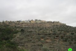 Settlers of “Karnei Shamron” pollute olive groves in Kafr LAqif village / Qalqilya governorate