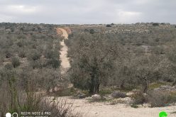 الاحتلال الإسرائيلي يمنع تأهيل  طريق زراعي في بلدة كفر الديك / محافظة سلفيت