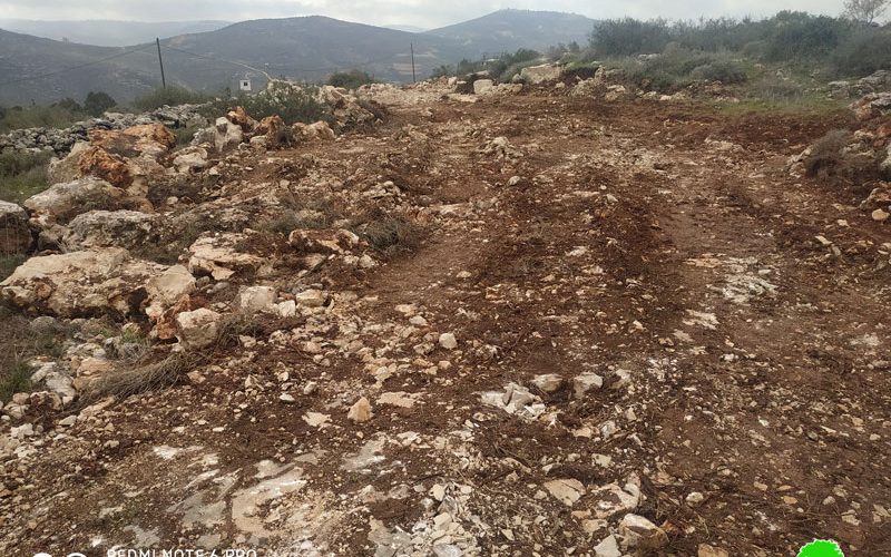 Ravaging agricultural lands in Iskaka village / Nablus governorate