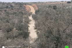 The Israeli Occupation prohibit rehabilitating an agricultural road in Kafr Ad-Dik / Salofit governorate