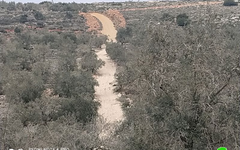The Israeli Occupation prohibit rehabilitating an agricultural road in Kafr Ad-Dik / Salofit governorate