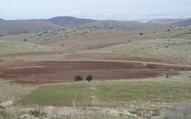 بدعوى أنها منطقة أثرية …  الاحتلال يسلم إخطار  بإخلاء قطعة أرض في منطقة خربة الحمة / محافظة طوباس