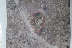 إخطارات بوجوب الإخلاء لـ 165 شجرة زيتون في قرية بردلة / محافظة طوباس