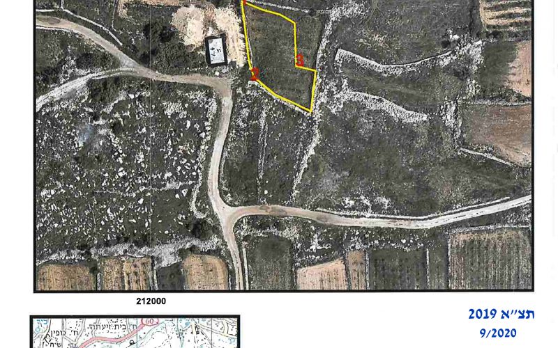 Military orders target agricultural lands in Beit Ummar / Hebron governorate