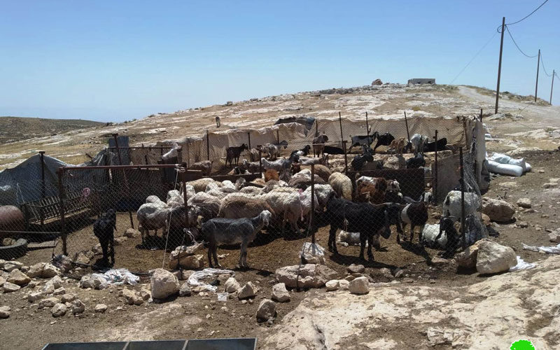 الاحتلال يفكك ويصادر حظائر ومنشآت زراعية في قرية بيرين جنوب الخليل