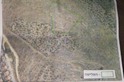 Eviction order targeting lands in Haris / Salfit governorate